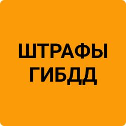 Group 91